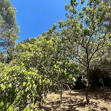 Maison Provencale فيلة *