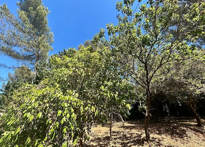 Maison Provencale فيلة *